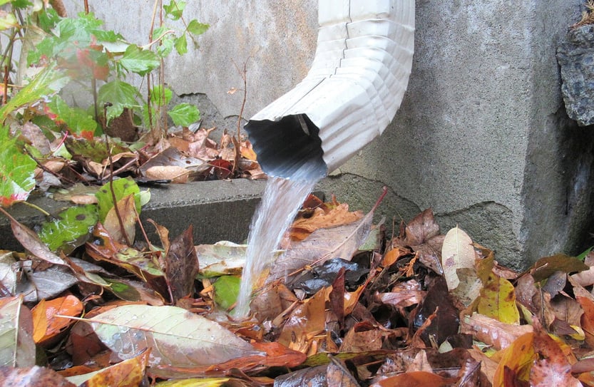 Nature, " Downspouts "