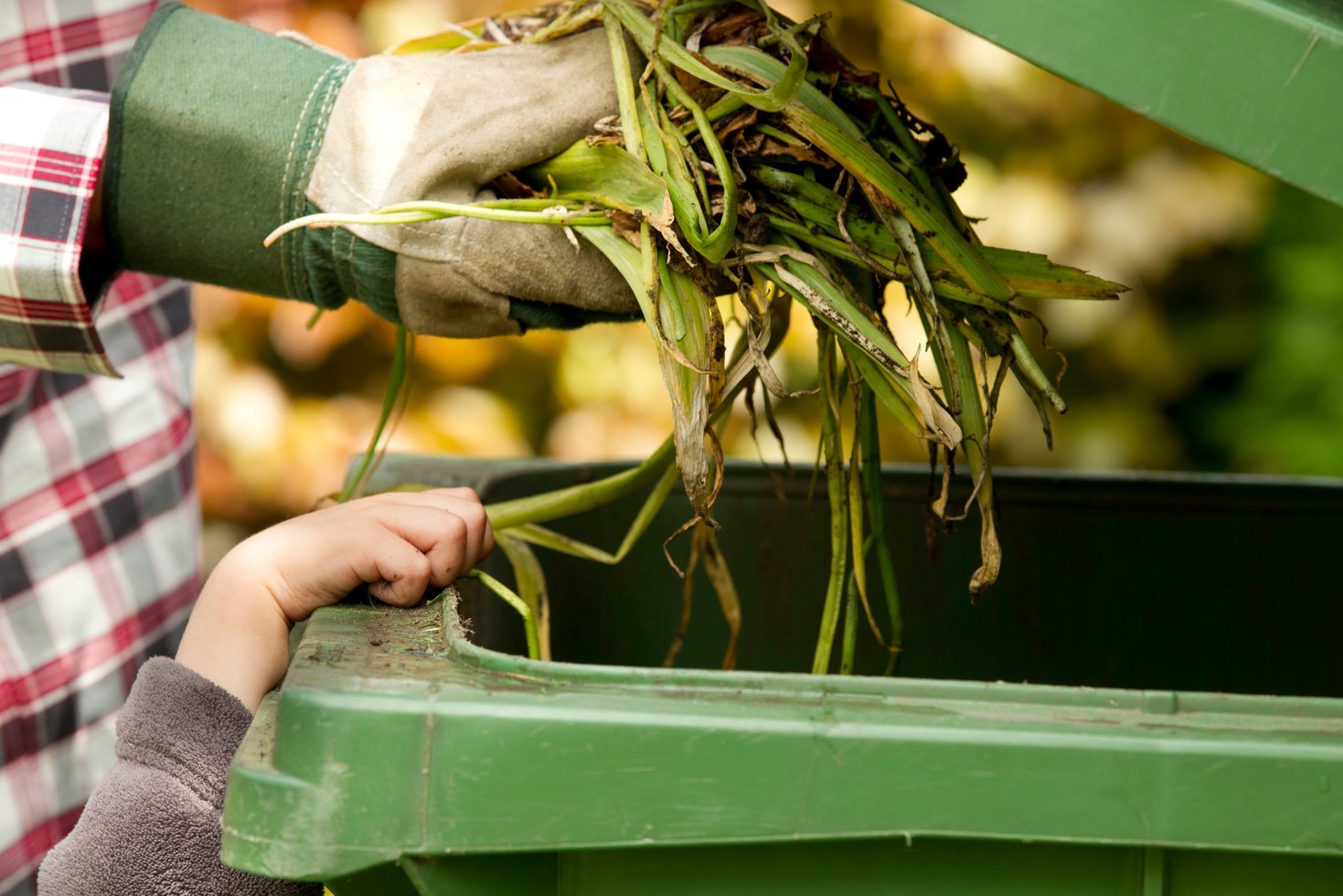 Compost bin